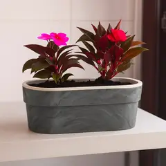 OU - Maceta Macetero autorriego concreto 1,75 lt