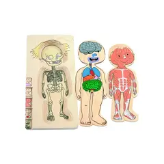 SEIGARD - Puzle De Capas Del Cuerpo Niña 17128 Color Variado