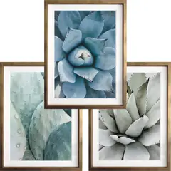 PAPEL ILUSTRADO - Set 3 Cuadros Suculentus Photo 40x50 Marco Dorado