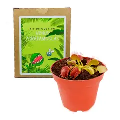 GENERICO - Kit Cultivo Venus Atrapamoscas Planta Carnívora