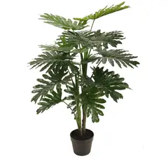 MALLORCA - Planta Decorativa Philodendron 90 Cms.