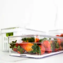 OU - Organizador de Refrigerador Clear Fresh Con Tapa 30 x 15 x 7 cm