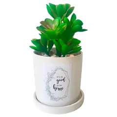 MALLORCA - Planta Decorativa Good To Be Home Maceta Blanca