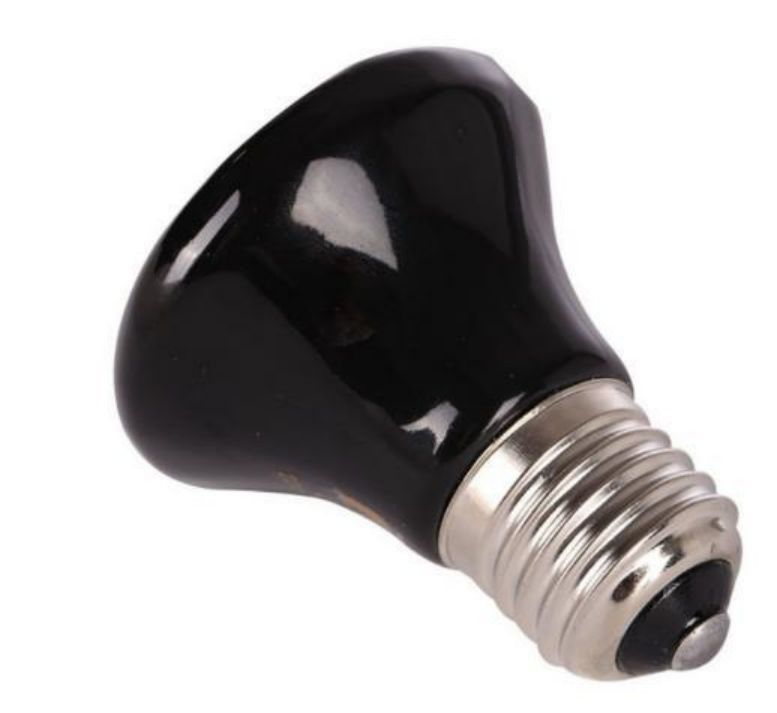 Ampolleta De Calor Para Mascotas Reptiles Anfibios 50W