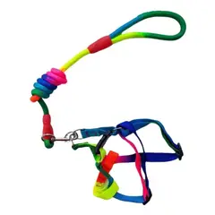 GENERICO - Kit Cuerda+arnes Arcoiris Mascota Perro Raza Mediana 1.2 Mt