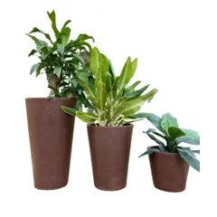 FLORIDIS - MACETERO CAFÉ GENEBRA 80CM ALTO CON PLATO