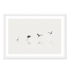 ALCUADRADO - Cuadro Individual Aves En La Playa Blanco