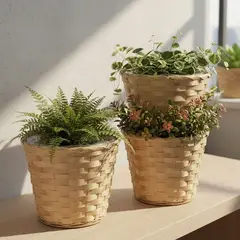 BRIC - Macetero de bambú redondo set de 3