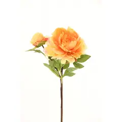 CHANTILLY - Peonia 50Cm Amarillo