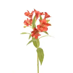 CHANTILLY - Astromelia 63Cm Rojo