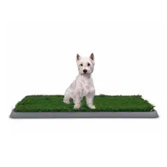 GENERICO - Baño Ecologico Chico Para Perros MAS049