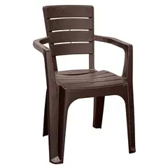 REYPLAST - Silla Roble Con Apoyabrazos Camping