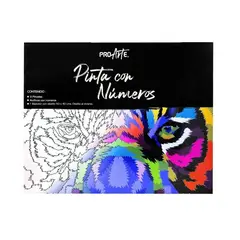 PROARTE - Set Bastidor Pinta con números 40x50 Diseño Surtido