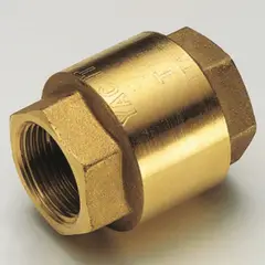 TIEMME - Valvula De Retención 2 1/2''