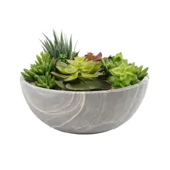 THE GREEN ELEMENT - Mix Suculentas Planta Decorativa con Macetero 24 Cm