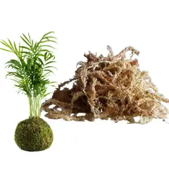 GENERICO - MUSGO SPHAGNUM PARA KOKEDAMAS 5 kilos