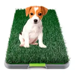 GENERICO - Baño De Entrenamiento Para Perros Y Gatos Ecologico