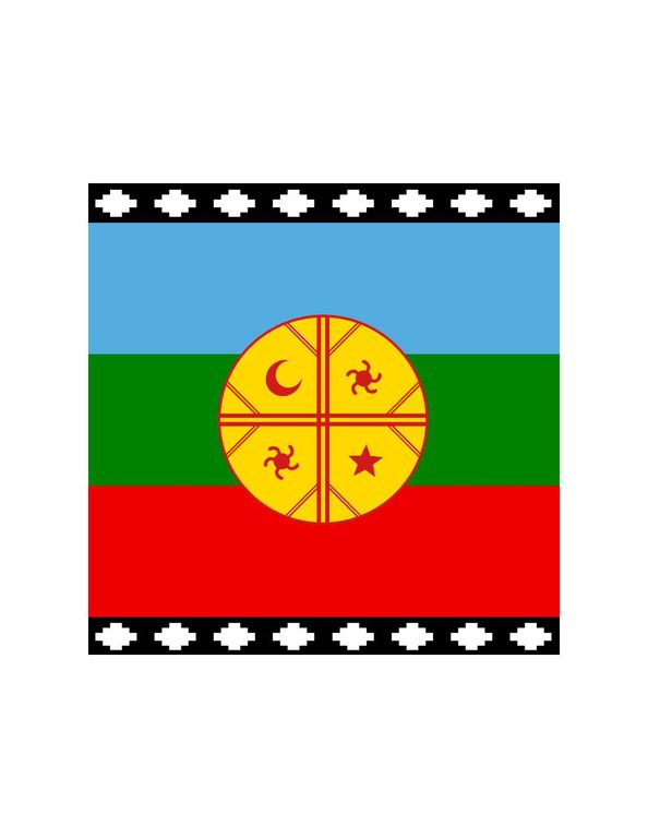 Bandera Mapuche 60 X 100- S0079