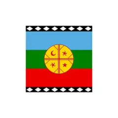 GENERICO - Bandera Mapuche 60 X 100- S0079