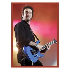 GENERICO - Cerati cuadro 50 x 70 cm