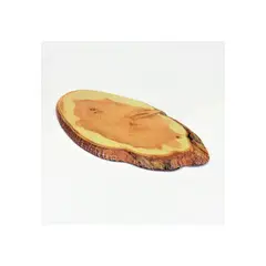 IMAHE - TABLA MELAMINA COLOR MADERA 53 X 27 CM