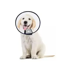 GENERICO - Collar Isabelino Para Mascotas Perros Y Gatos - Talla L