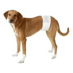 GENERICO - 12 Pañales Para Perros Pañales Para Perro Pañales Gato S