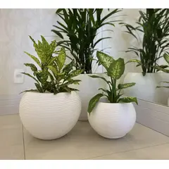 FLORIDIS - MACETERO BLANCO FLORENCIA 19CM ALTO CON PLATO