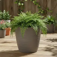 REYPLAST - 1 Molde Maceta Macetero Plástico Redondo Taupe Estilo Piedra 33 Cm