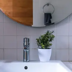 VADELL - Boj con flores blancas de 24 cm con macetero Home