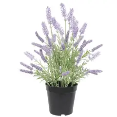 VADELL - Lavanda lila de 35 cm en macetero Home