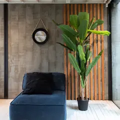 VADELL - Banano de 190 cm, 4 troncos y 28 hojas Home