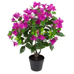 VADELL - Arbusto de Bugambilia fucsia de 70 cm Home