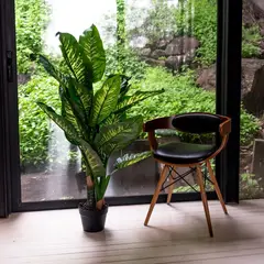 VADELL - Difenbaquia de 120 cm Home