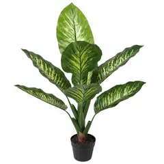 VADELL - Difenbaquia de 90 cm Home