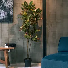 VADELL - Crotón de 160 cm Home