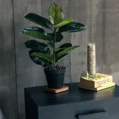 VADELL - Ficus Elástica/ Gomero de 45 cm Home