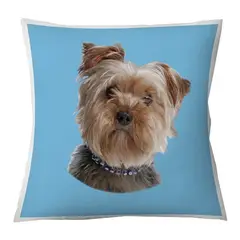 TUYO PRINT - Cojín Color Yorkshire 45x45 -
