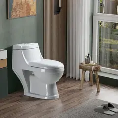 JOYTEK - WC One Piece 2003 a Muro