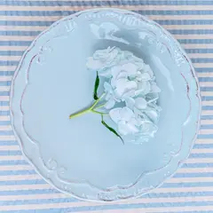 GENERICO - Plato de Fondo Provenzal Vintage Celeste