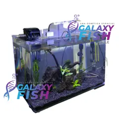 GENERICO - ACUARIO KIT COMPLETO