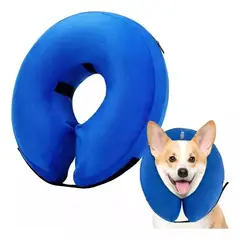 GENERICO - Collar Isabelino Perro Accesorios Collares Gato Talla L Azul