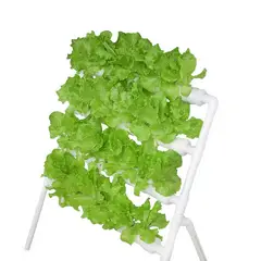 GENERICO - Cultivo Hidropónico para 36 Plantas.