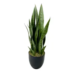 COREL - Planta Decorativa Sansevieria Verde 60cm