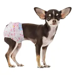 GENERICO - X30 Pañales Para Perros Pañales Para Perro Pañales Gato M