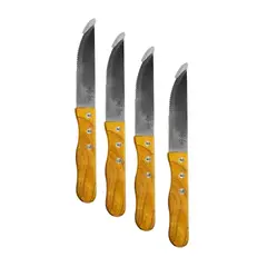 DECO EXPRESS - Set 4 Pzs Cuchillos Asado Lyn