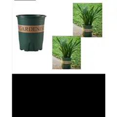 GENERICO - Macetero Gardening Grande Para Flores Jardin