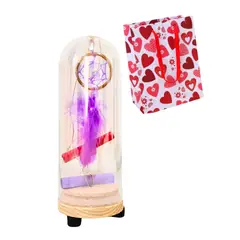 GENERICO - Pluma En Cúpula De Vidrio Con Luces Pilas Bolsa Regalo