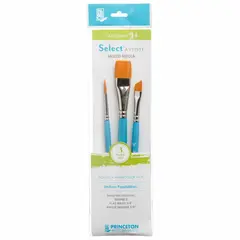 PRINCETON - Set 3 Pinceles Value Set 14