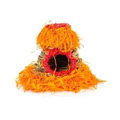 PREVUE - Refugio de Pasto Fiesta Roedores - S